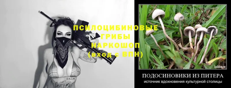 Псилоцибиновые грибы Psilocybe  МЕГА ТОР  Верхотурье 